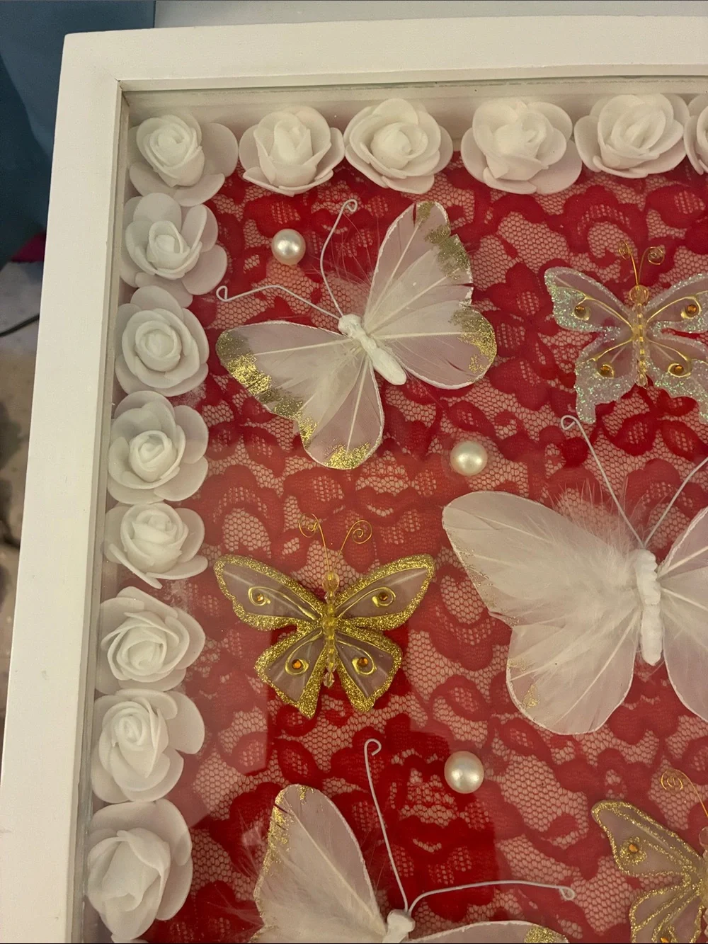 Hand Crafted White Butterfly Shadow Box Frame with Red Lace Backing